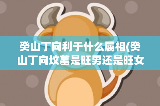 癸山丁向利于什么属相(癸山丁向坟墓是旺男还是旺女)(癸山丁向出什么人)