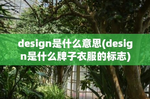 design是什么意思(design是什么牌子衣服的标志)
