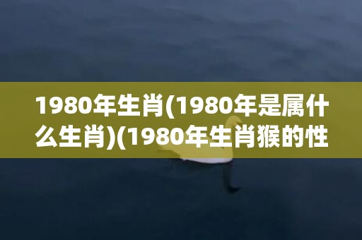 1980年生肖(1980年是属什么生肖)(1980年生肖猴的性格)