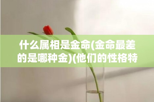 什么属相是金命(金命最差的是哪种金)(他们的性格特点)