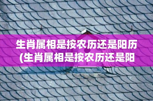 生肖属相是按农历还是阳历(生肖属相是按农历还是阳历算)(农历7月属什么生肖属相)