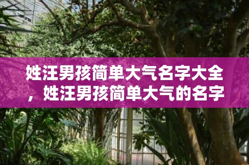 姓汪男孩简单大气名字大全，姓汪男孩简单大气的名字有哪些