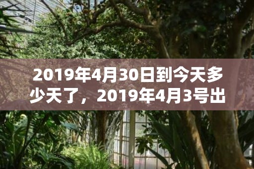 2019年4月30日到今天多少天了，2019年4月3号出生的双胞胎男孩起什么名字比较好，五行属什么