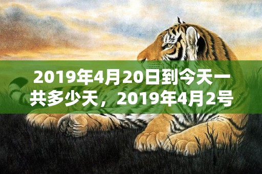 2019年4月20日到今天一共多少天，2019年4月2号出生的双胞胎男孩起什么名字比较好，五行属什么