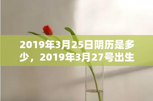 2019年3月25日阴历是多少，2019年3月27号出生的双胞胎男孩起什么名字比较好，五行属什么