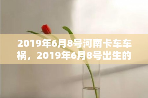 2019年6月8号河南卡车车祸，2019年6月8号出生的男宝宝五行缺火要怎么起名字