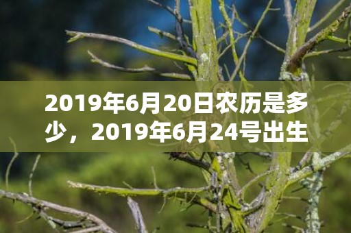 2019年6月20日农历是多少，2019年6月24号出生的男宝宝五行缺火要怎么起名字