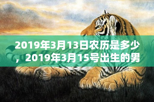 2019年3月13日农历是多少，2019年3月15号出生的男宝宝五行缺土要怎么样起名字