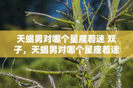 天蝎男对哪个星座着迷 双子，天蝎男对哪个星座着迷详解