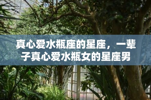 真心爱水瓶座的星座，一辈子真心爱水瓶女的星座男