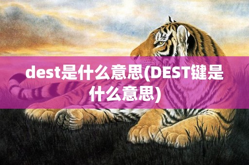 dest是什么意思(DEST键是什么意思)