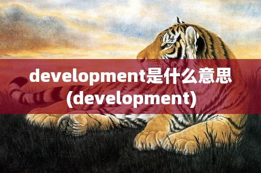 development是什么意思(development)