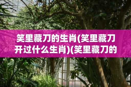 笑里藏刀的生肖(笑里藏刀开过什么生肖)(笑里藏刀的生肖动物是什么)