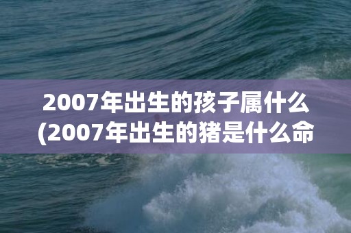 2007年出生的孩子属什么(2007年出生的猪是什么命)