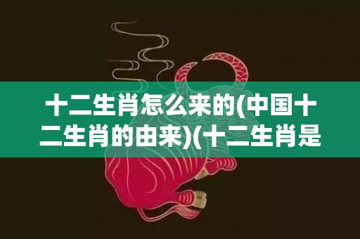 十二生肖怎么来的(中国十二生肖的由来)(十二生肖是怎么来的 来历)