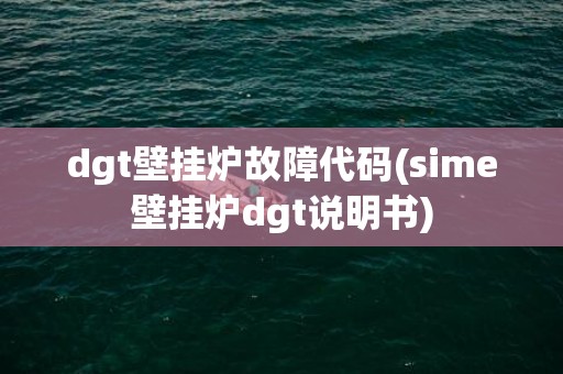 dgt壁挂炉故障代码(sime壁挂炉dgt说明书)
