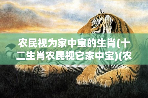 农民视为家中宝的生肖(十二生肖农民视它家中宝)(农民视为家中宝的动物是什么生肖)