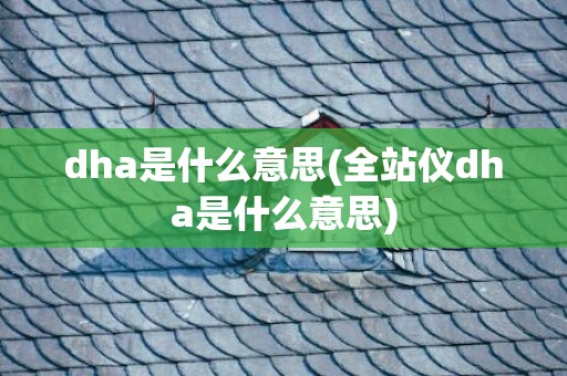 dha是什么意思(全站仪dha是什么意思)