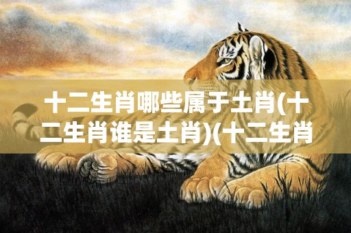 十二生肖哪些属于土肖(十二生肖谁是土肖)(十二生肖哪些属于野兽动物呢)