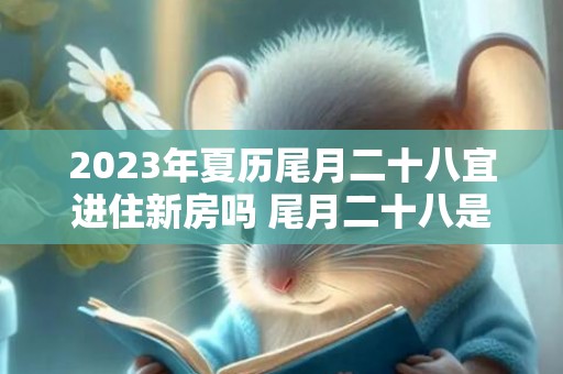2023年夏历尾月二十八宜进住新房吗 尾月二十八是不是乔迁新房的黄道谷旦