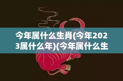 今年属什么生肖(今年2023属什么年)(今年属什么生肖2023)