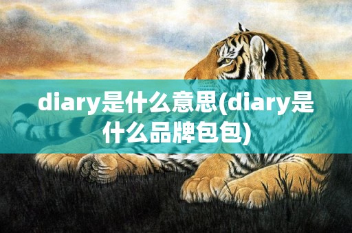 diary是什么意思(diary是什么品牌包包)