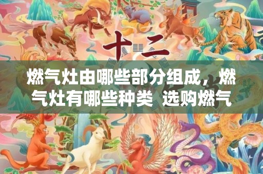 燃气灶由哪些部分组成，燃气灶有哪些种类  选购燃气灶看哪些指标