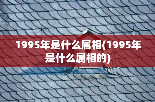 1995年是什么属相(1995年是什么属相的)