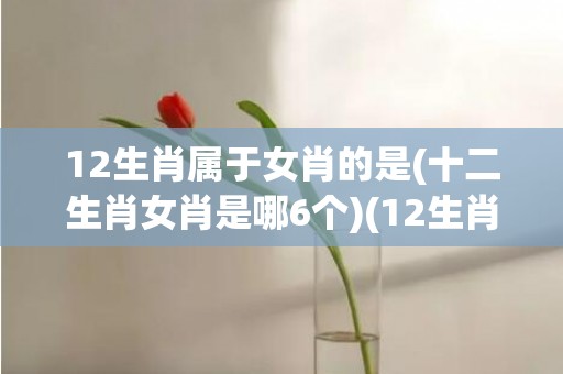 12生肖属于女肖的是(十二生肖女肖是哪6个)(12生肖哪些属于雨肖)