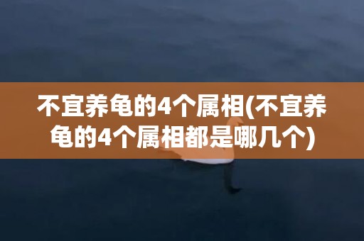 不宜养龟的4个属相(不宜养龟的4个属相都是哪几个)
