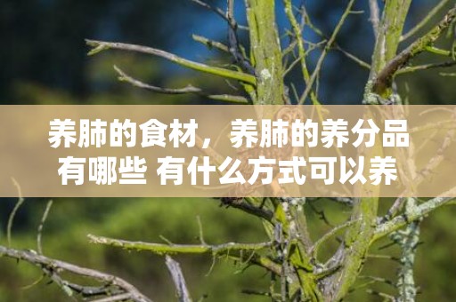 养肺的食材，养肺的养分品有哪些 有什么方式可以养肺的