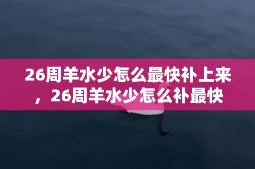 26周羊水少怎么最快补上来，26周羊水少怎么补最快