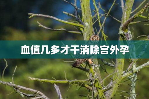血值几多才干消除宫外孕