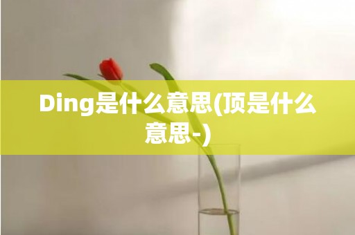 Ding是什么意思(顶是什么意思-)