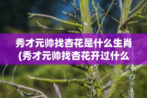 秀才元帅找杏花是什么生肖(秀才元帅找杏花开过什么数字)(秀才元帅找杏花是指什么动物)