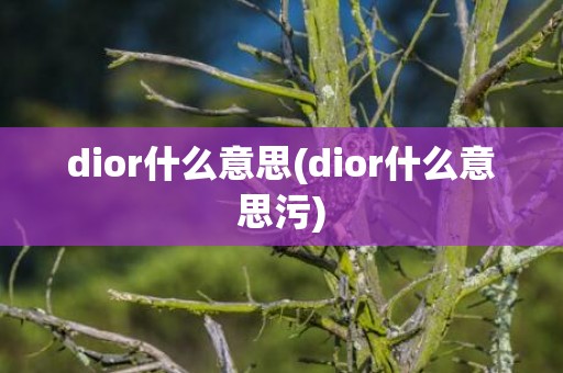 dior什么意思(dior什么意思污)