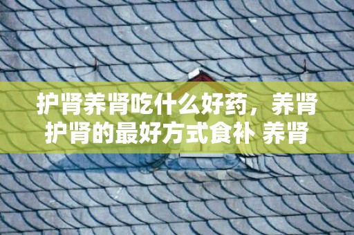 护肾养肾吃什么好药，养肾护肾的最好方式食补 养肾护肾的最好方式食补