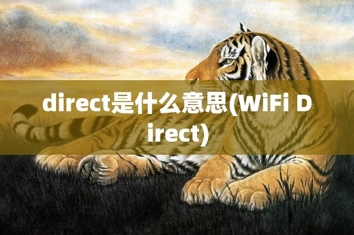 direct是什么意思(WiFi Direct)