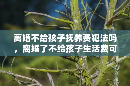 离婚不给孩子抚养费犯法吗，离婚了不给孩子生活费可以起诉吗 婚内不给生活费能起诉