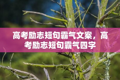 高考励志短句霸气文案，高考励志短句霸气四字