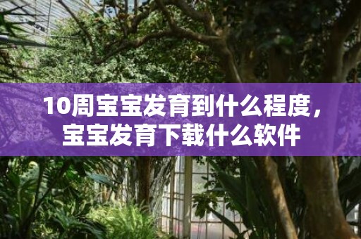 10周宝宝发育到什么程度，宝宝发育下载什么软件