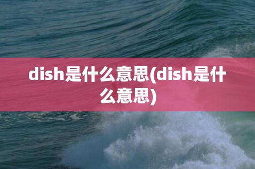dish是什么意思(dish是什么意思)