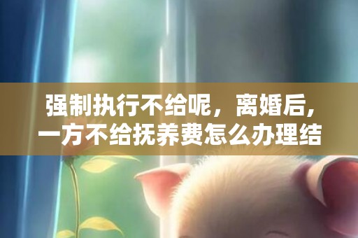 强制执行不给呢，离婚后,一方不给抚养费怎么办理结婚证，离婚时有一方没有结婚证怎么办