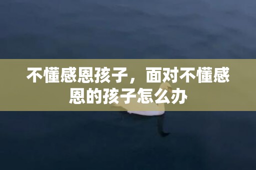 不懂感恩孩子，面对不懂感恩的孩子怎么办