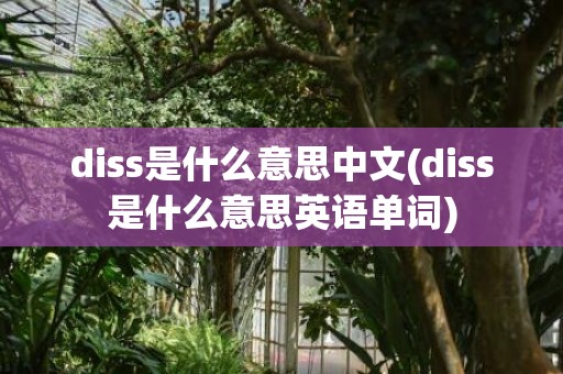 diss是什么意思中文(diss是什么意思英语单词)