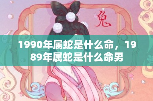 1990年属蛇是什么命，1989年属蛇是什么命男