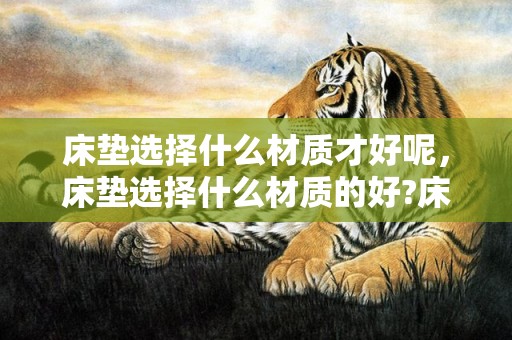 床垫选择什么材质才好呢，床垫选择什么材质的好?床垫怎么选?