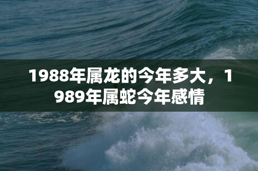 1988年属龙的今年多大，1989年属蛇今年感情