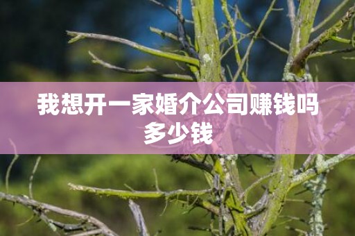 我想开一家婚介公司赚钱吗多少钱