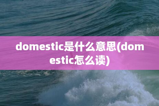 domestic是什么意思(domestic怎么读)